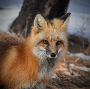 Meet your Posher, Bryan